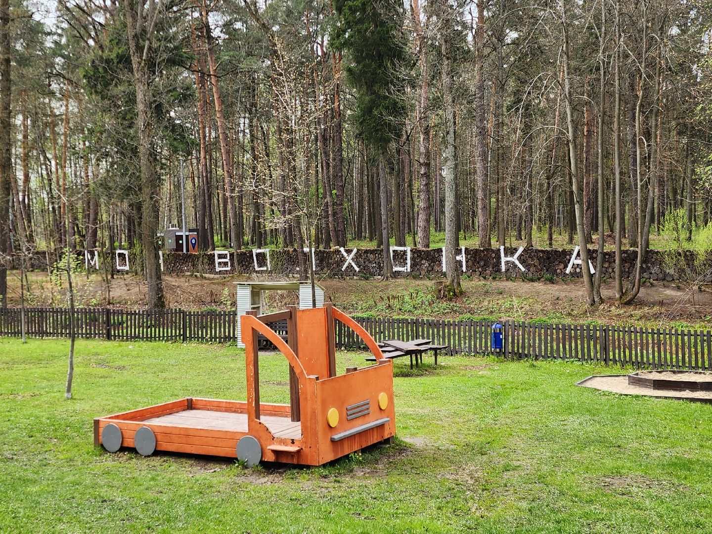 ногинск, богородский городский округ, пикник, пожары, лес,