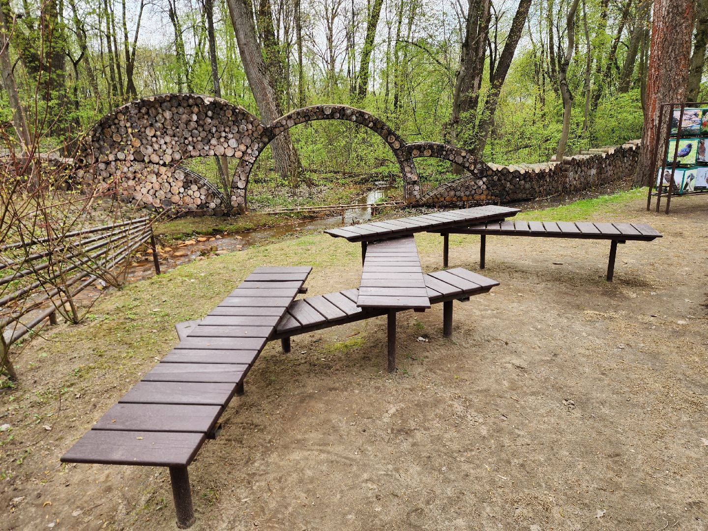 ногинск, богородский городский округ, пикник, пожары, лес,