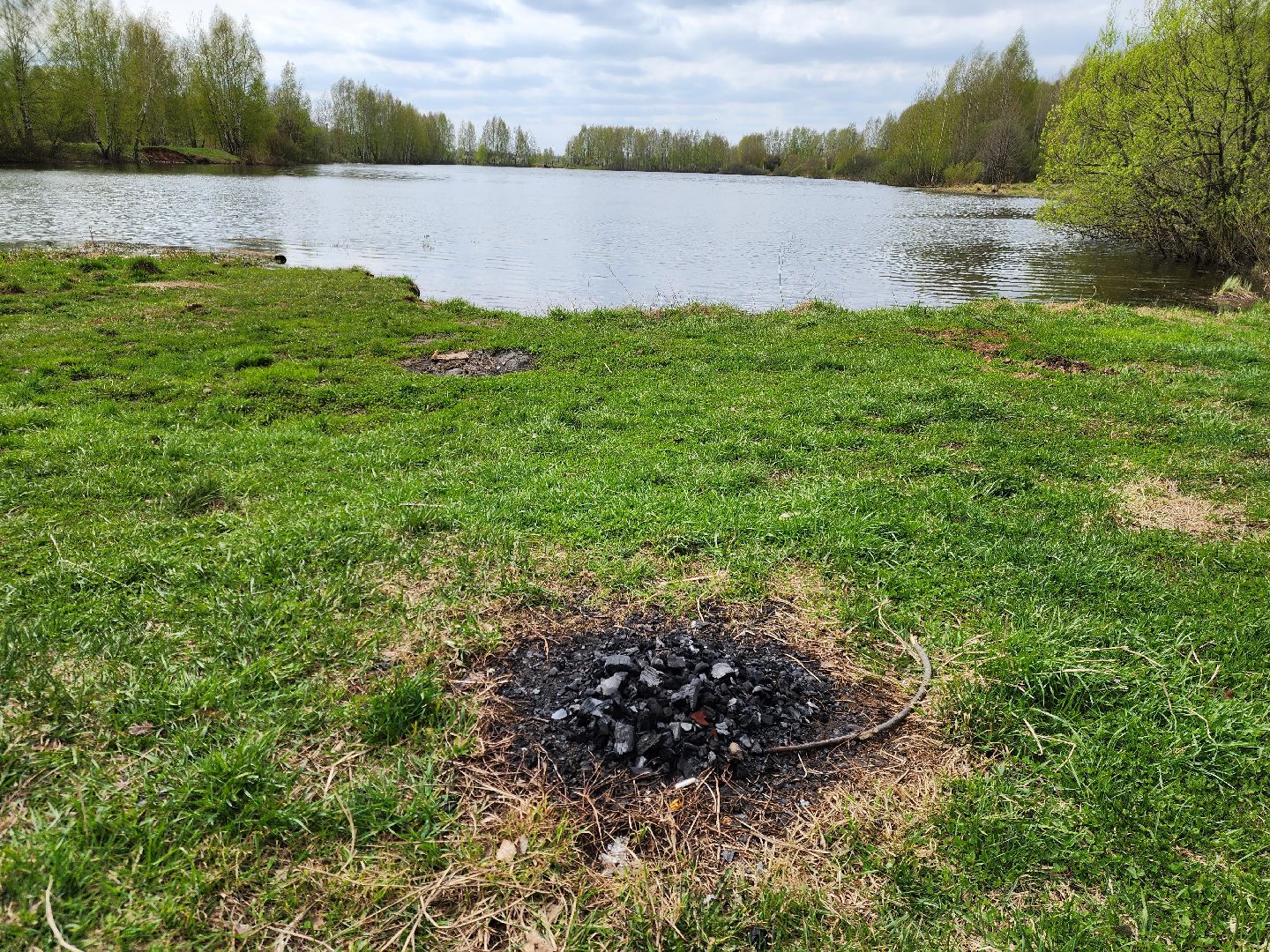 ногинск, богородский городский округ, пикник, пожары, лес,