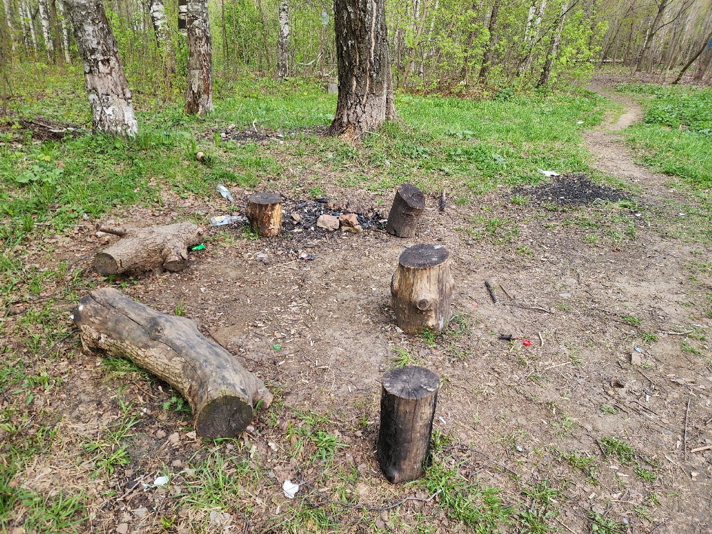 ногинск, богородский городский округ, пикник, пожары, лес,