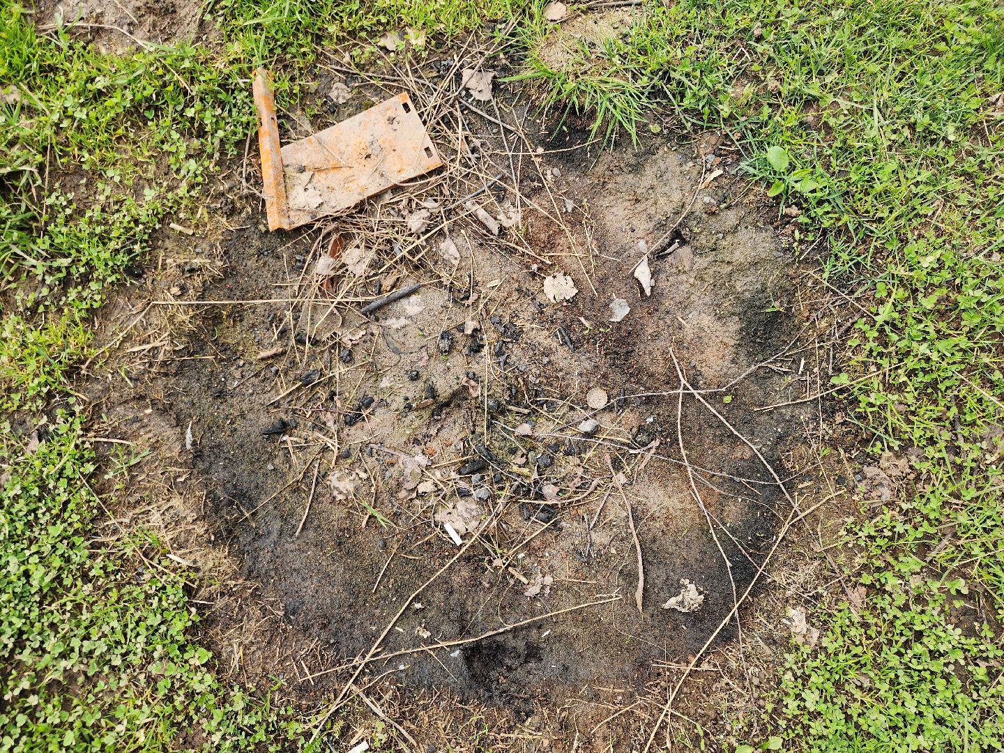 ногинск, богородский городский округ, пикник, пожары, лес,