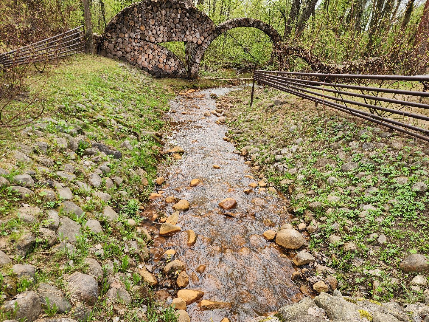 ногинск, богородский городский округ, пикник, пожары, лес,
