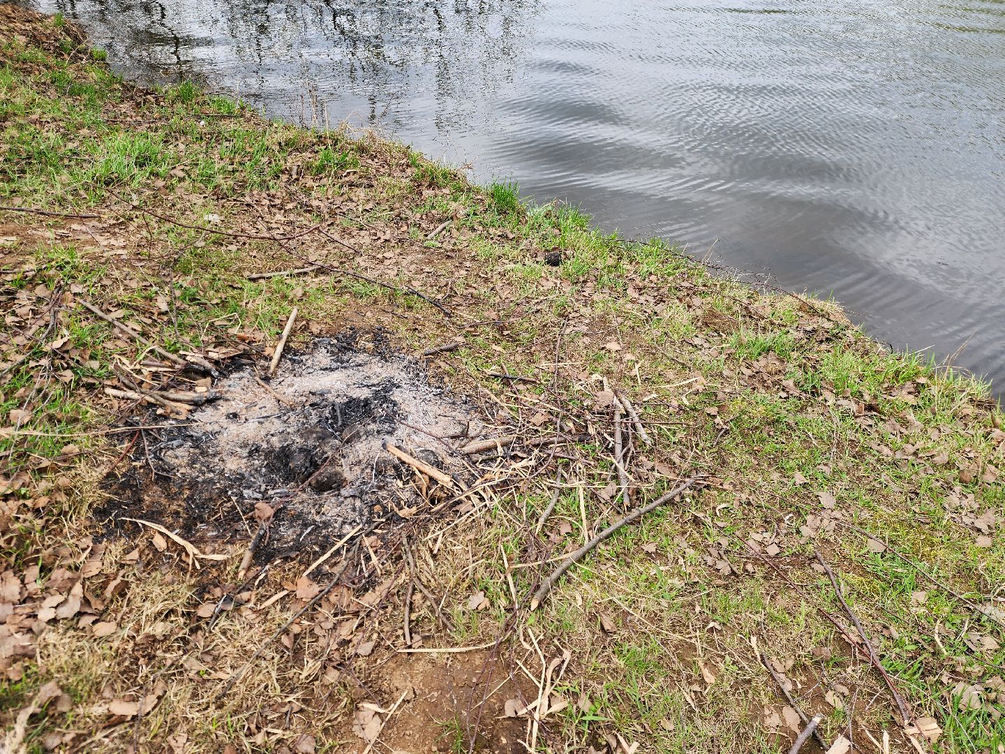 ногинск, богородский городский округ, пикник, пожары, лес,