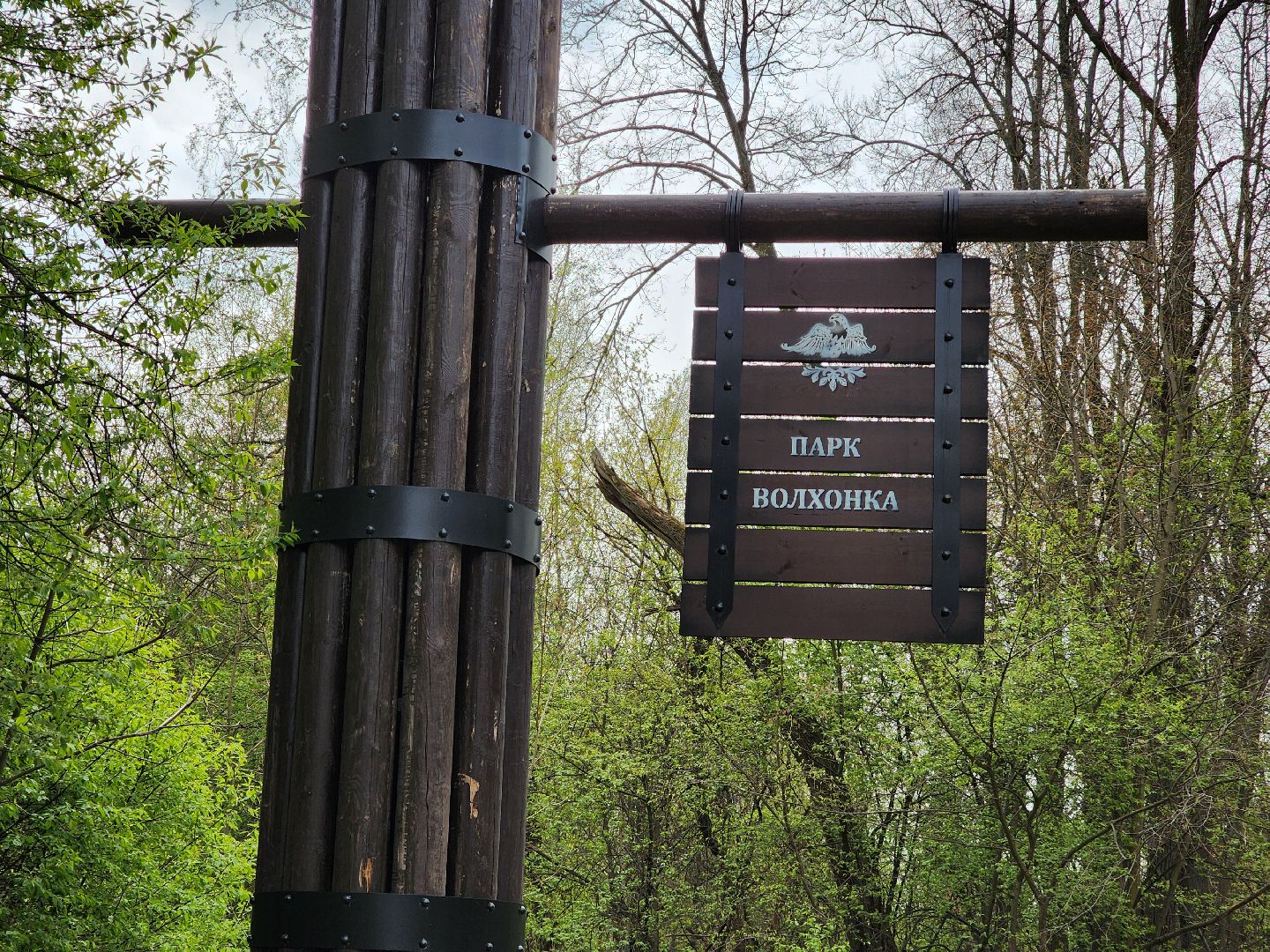 ногинск, богородский городский округ, пикник, пожары, лес,