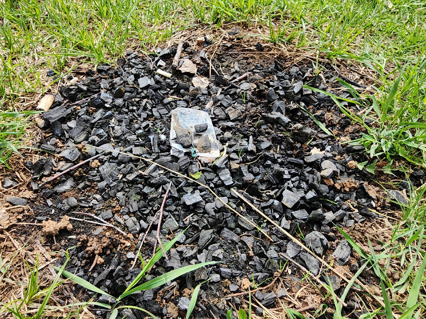 ногинск, богородский городский округ, пикник, пожары, лес,