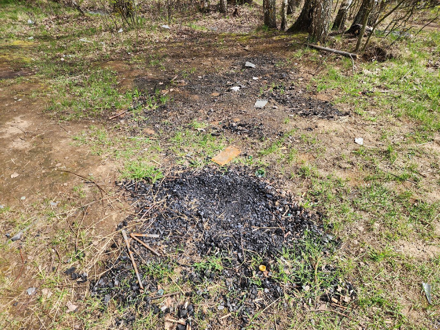 ногинск, богородский городский округ, пикник, пожары, лес,