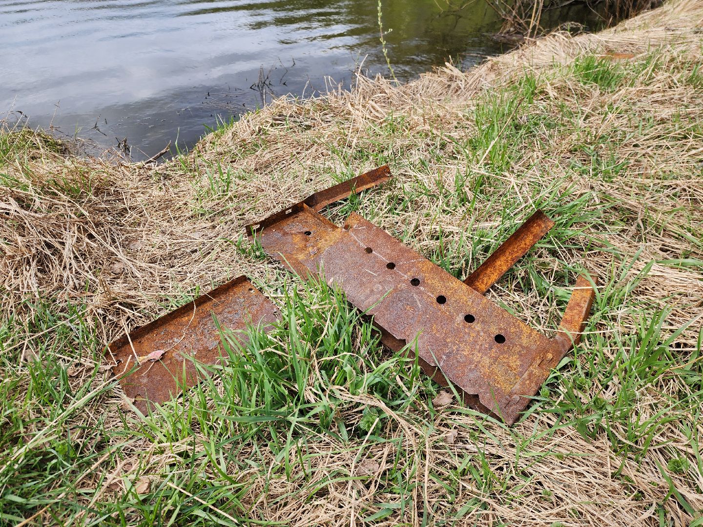 ногинск, богородский городский округ, пикник, пожары, лес,