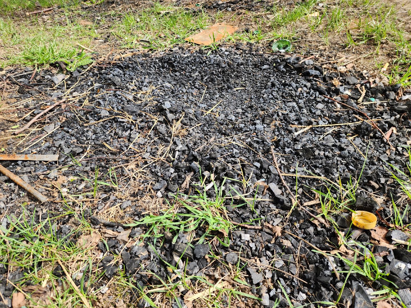 ногинск, богородский городский округ, пикник, пожары, лес,