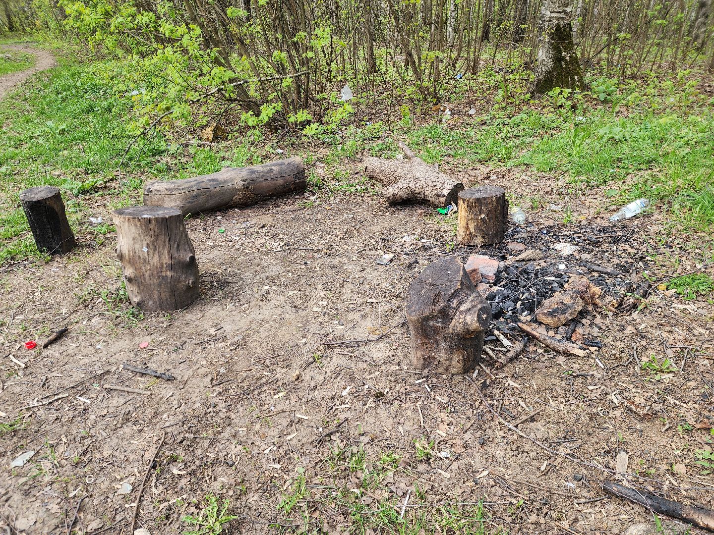 ногинск, богородский городский округ, пикник, пожары, лес,