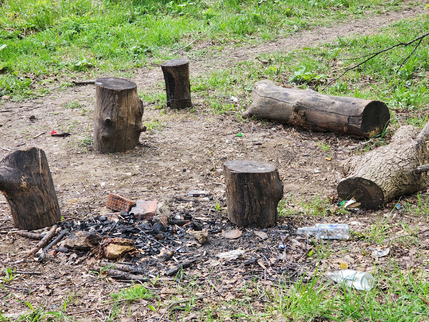 ногинск, богородский городский округ, пикник, пожары, лес,