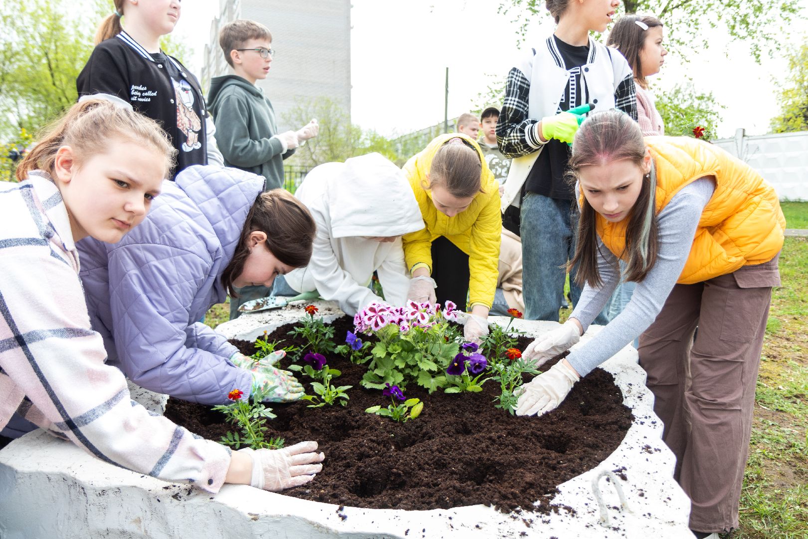 лыткарино, день добрых дел, деревья,