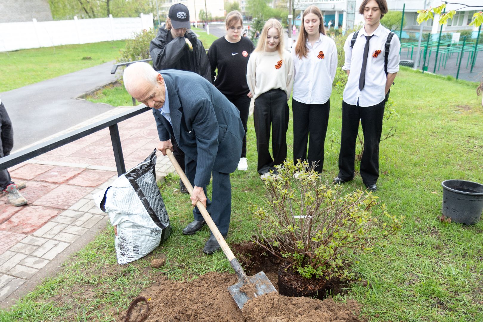 лыткарино, день добрых дел, деревья,