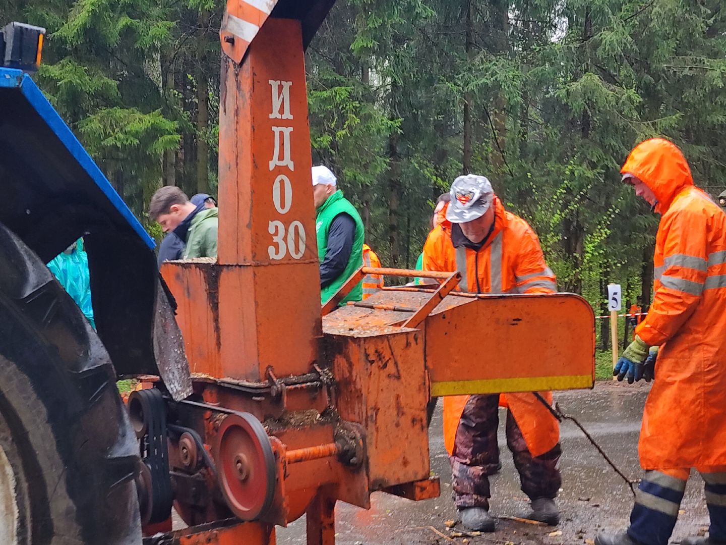 субботник, лесничество,