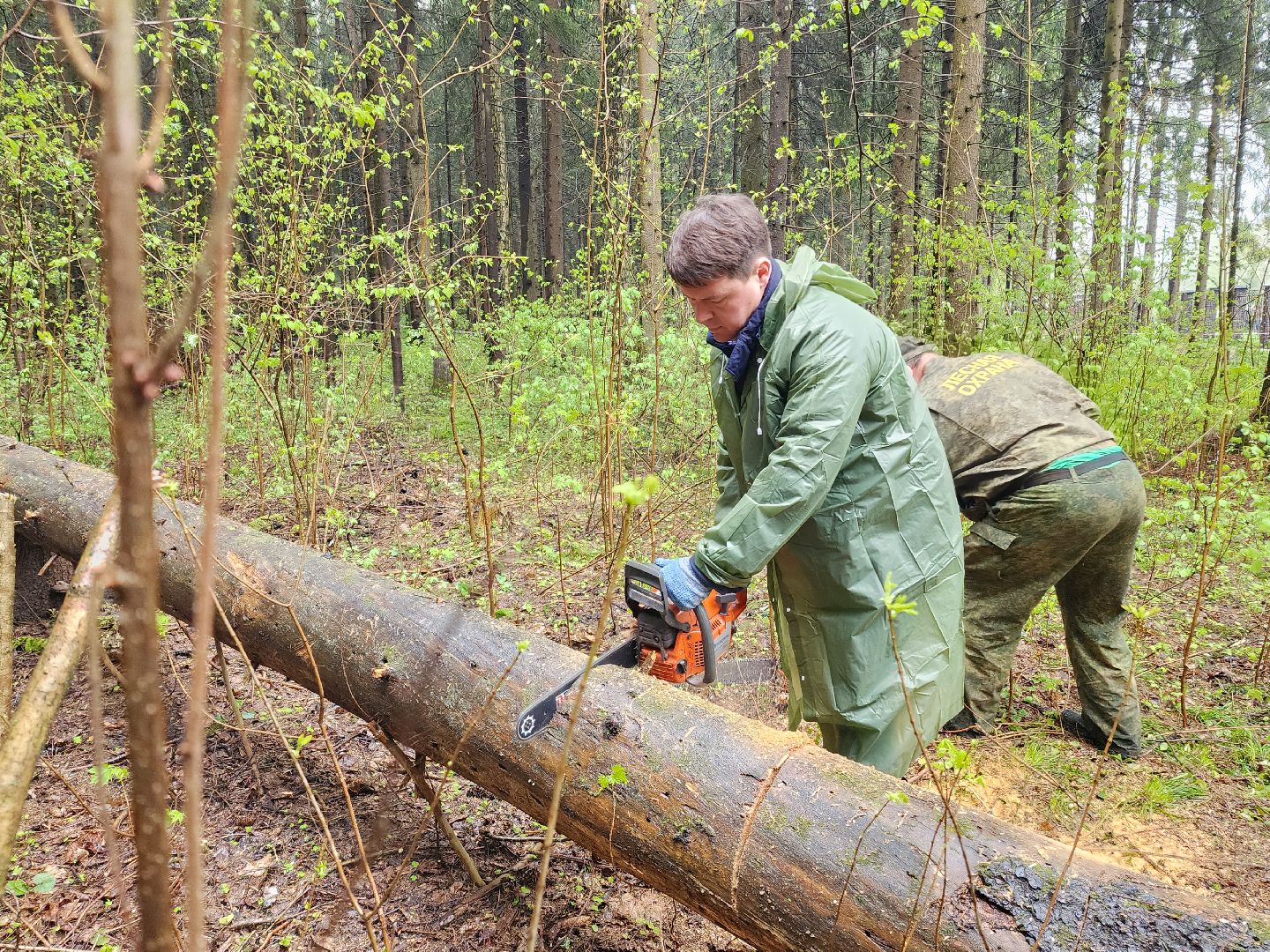 субботник, лесничество,