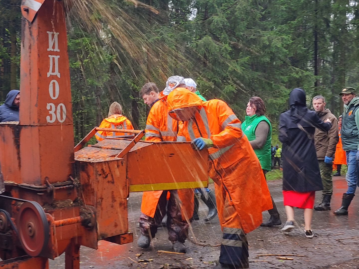 субботник, лесничество,