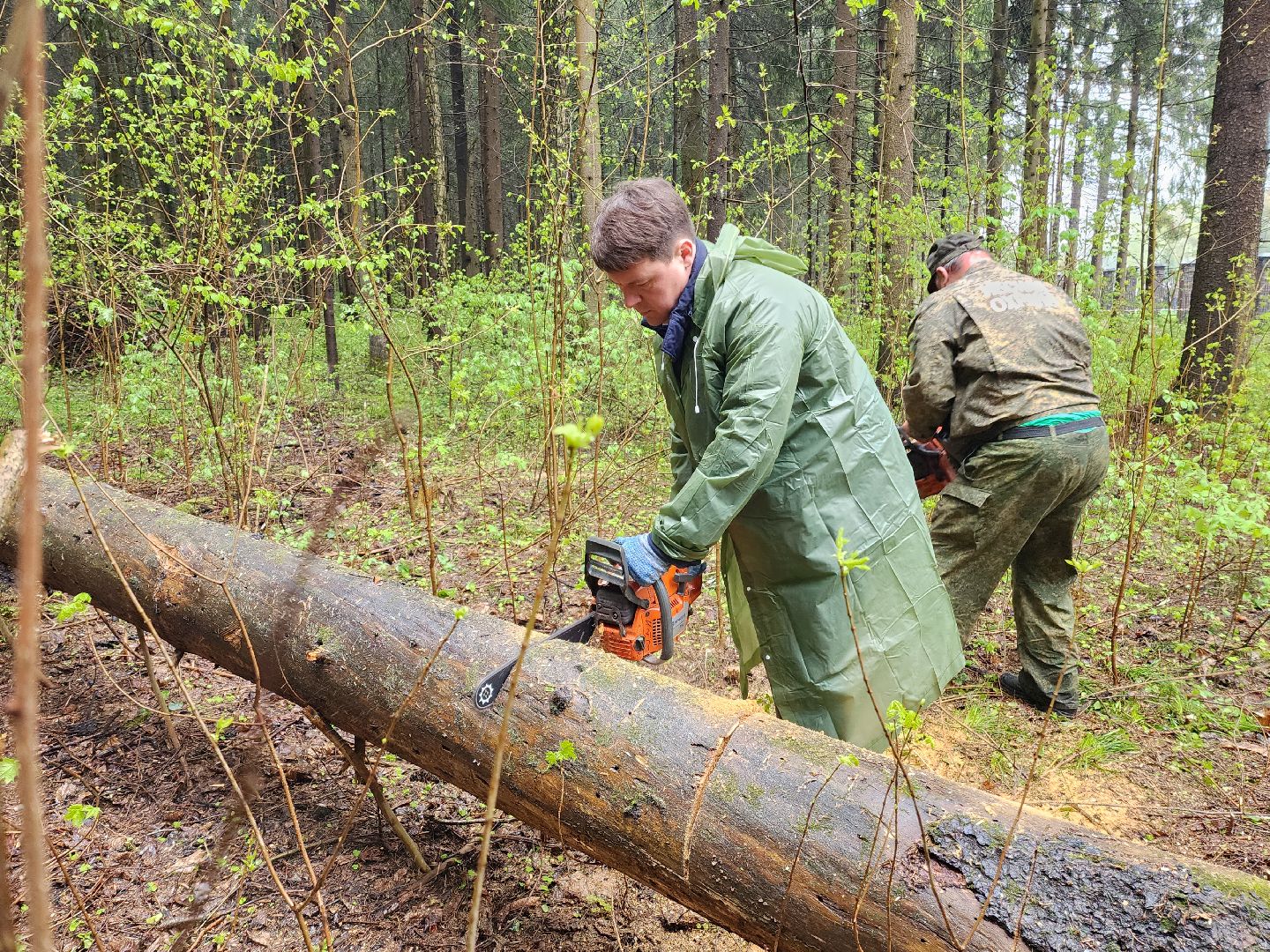 субботник, лесничество,