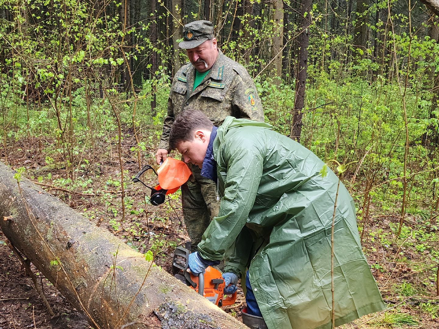 субботник, лесничество,