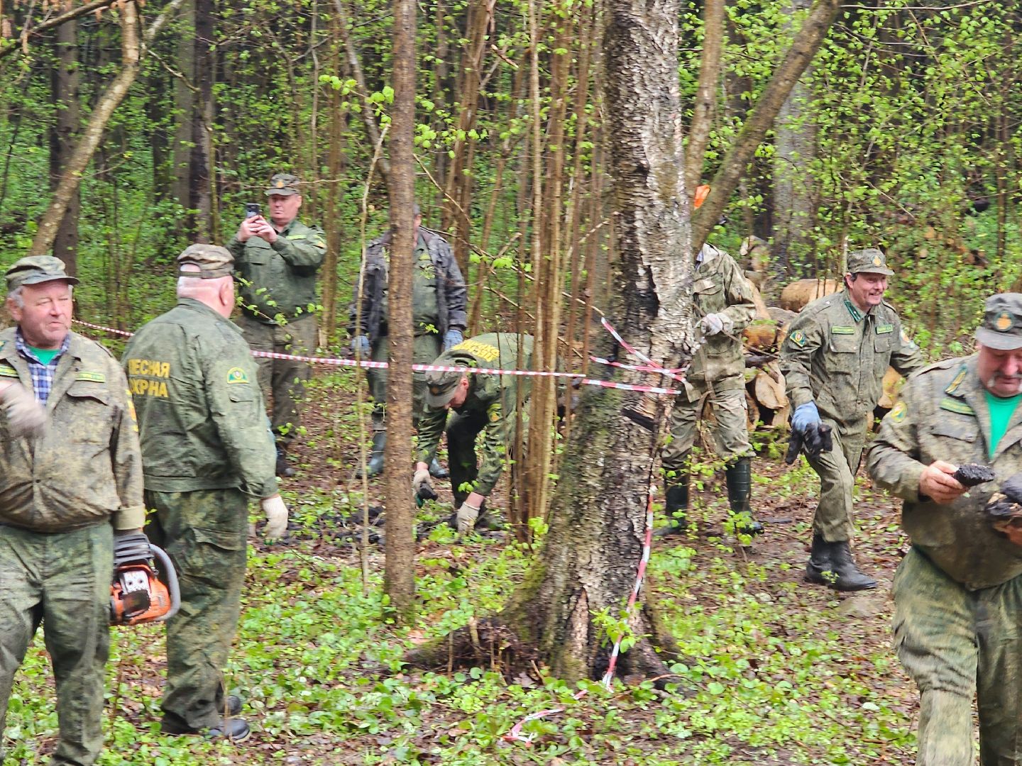 субботник, лесничество,