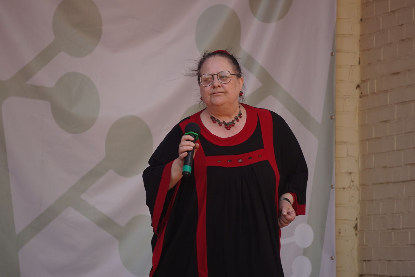 Павловский Посад, Городской округ Павловский Посад, Люди, 1 мая, Праздник, Концерт,