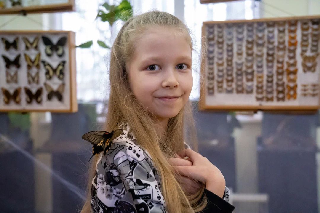 Выставка, Орехово-Зуево, дом Оглоблина, бабочки