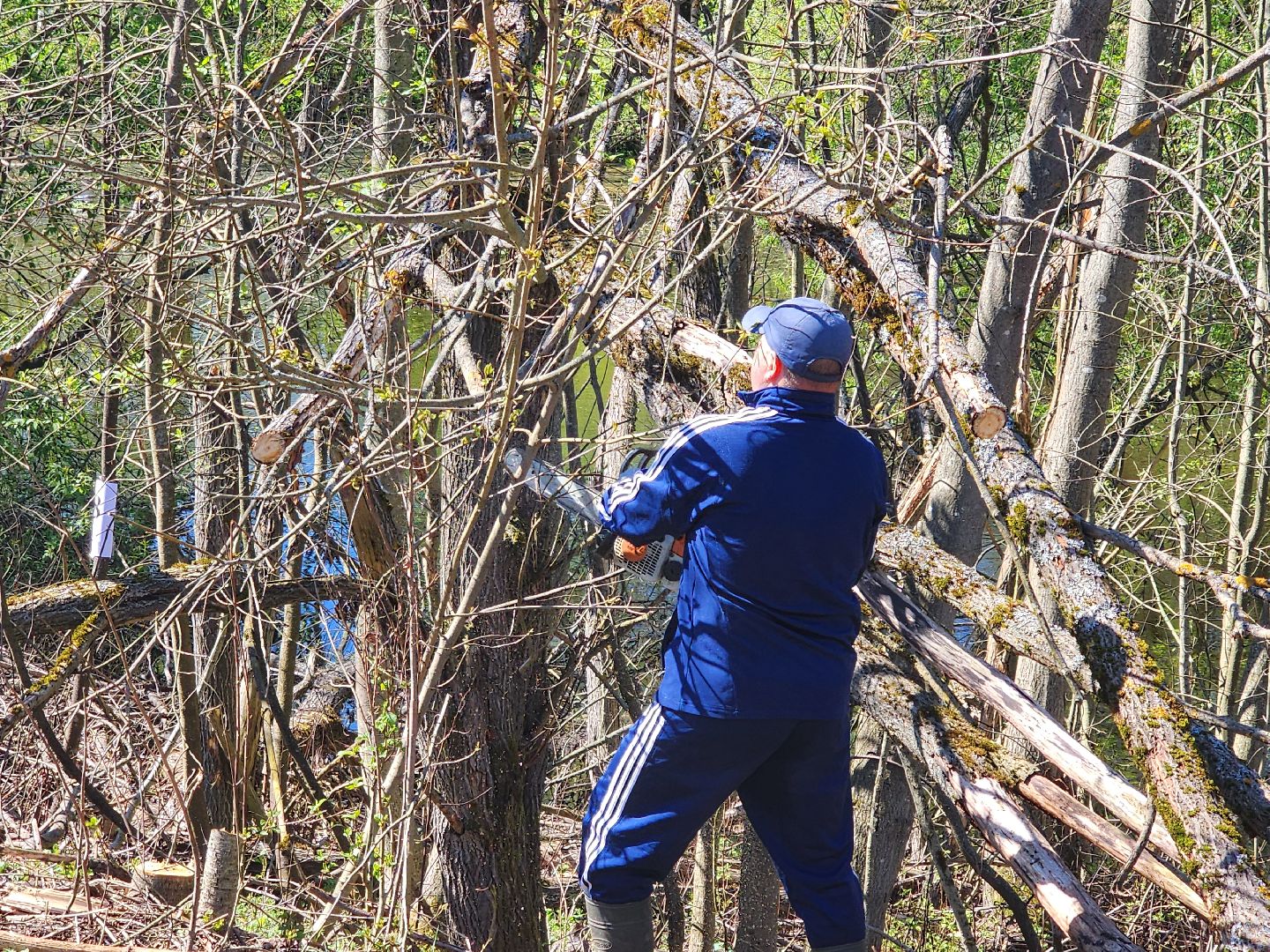 субботник, благоустойство,