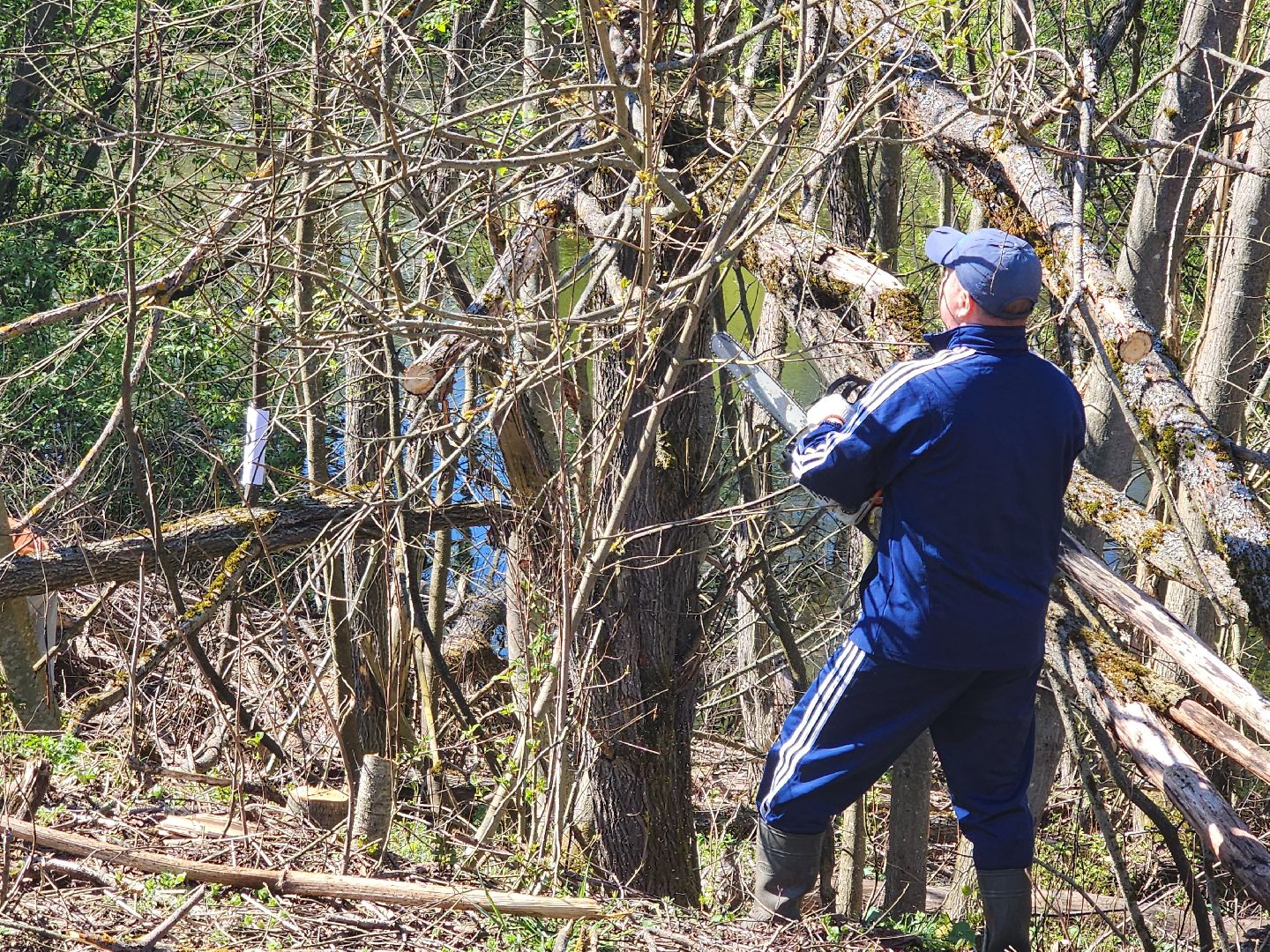 субботник, благоустойство,