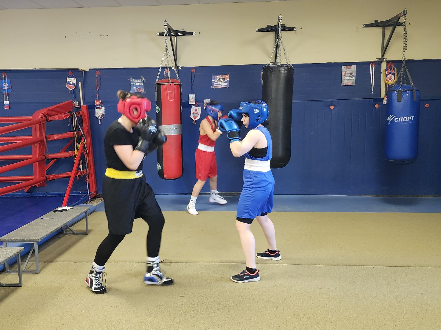 бокс, тренер по боксу,