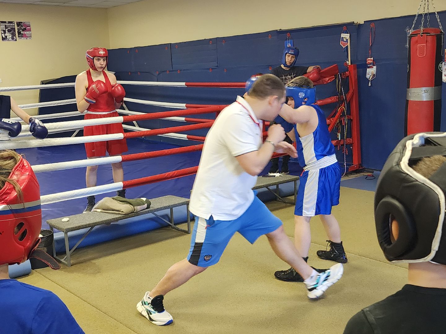 бокс, тренер по боксу,