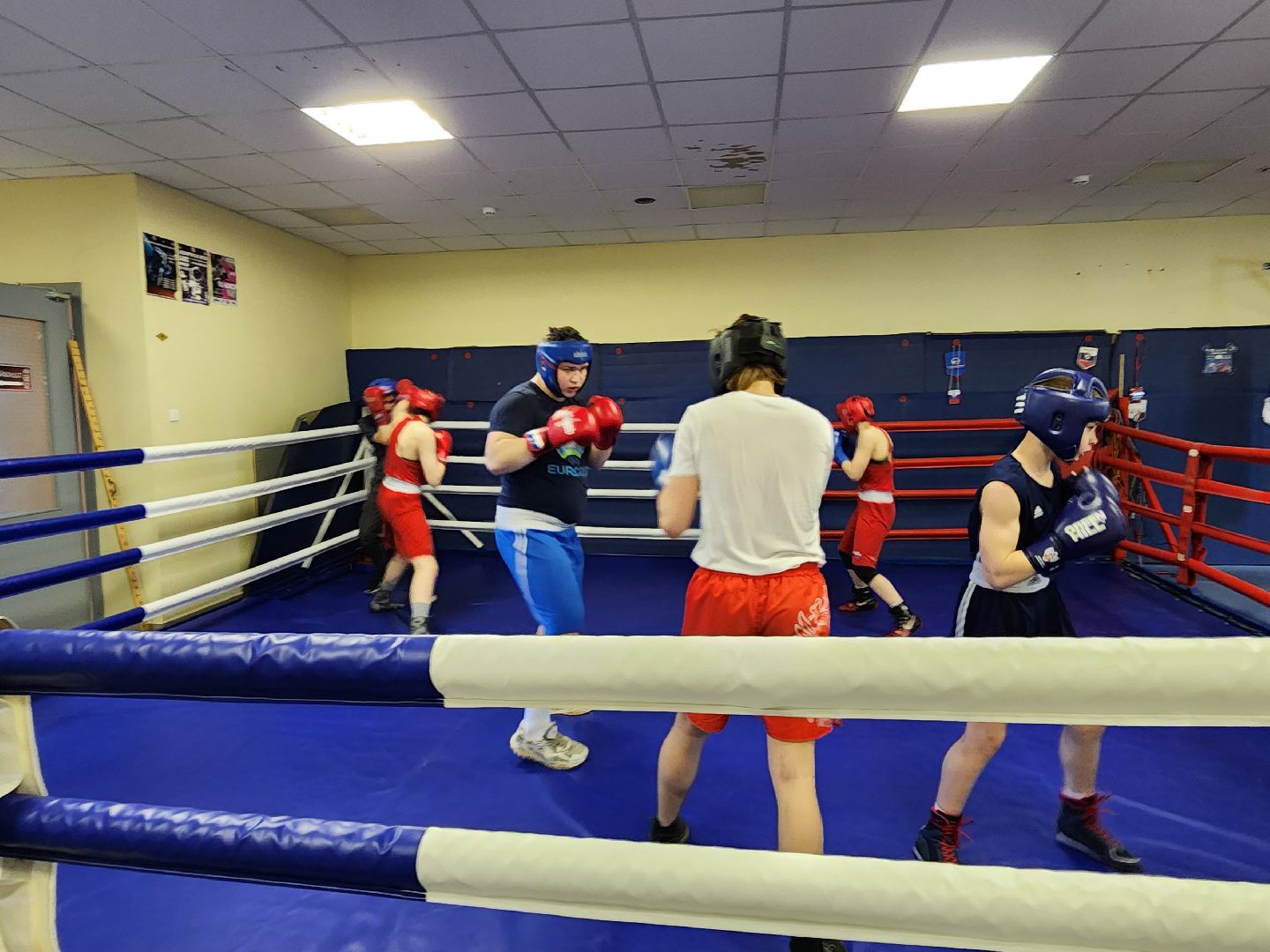 бокс, тренер по боксу,