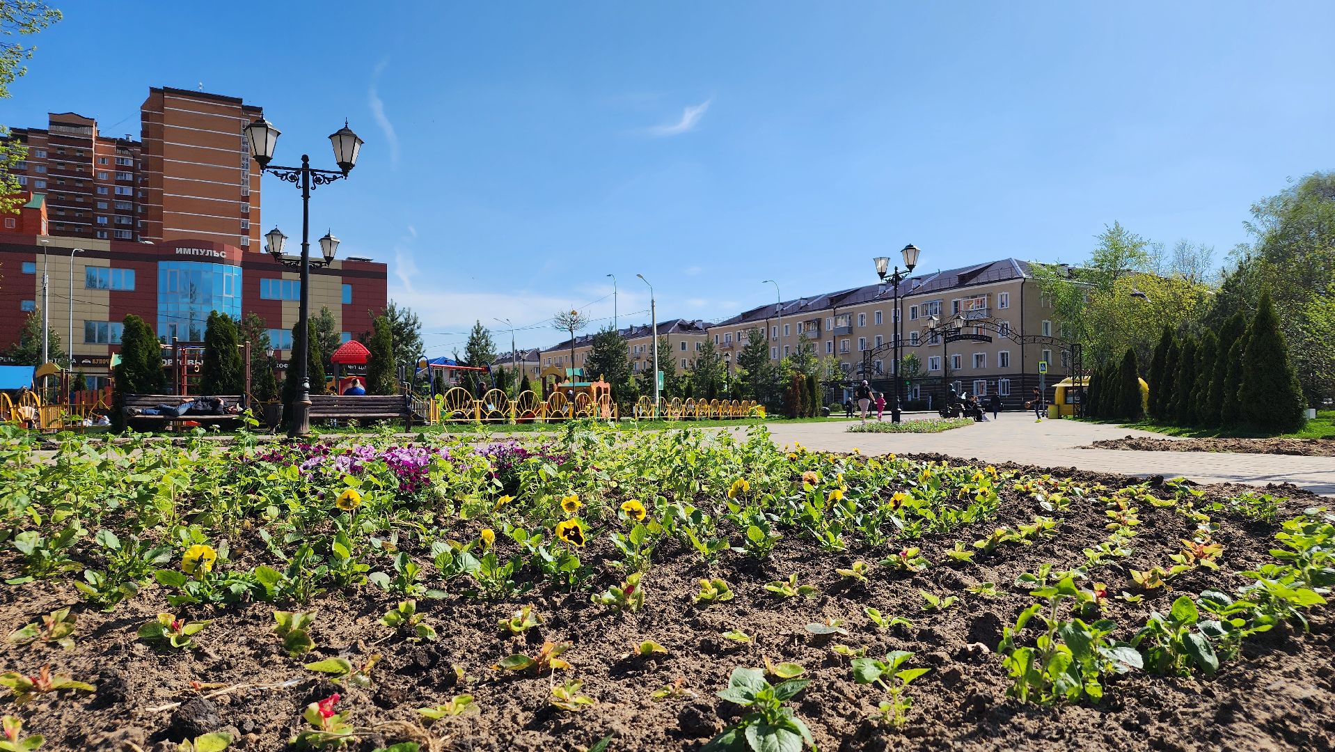 благоустройство, цветы, клумбы, Лосино-Петровский,