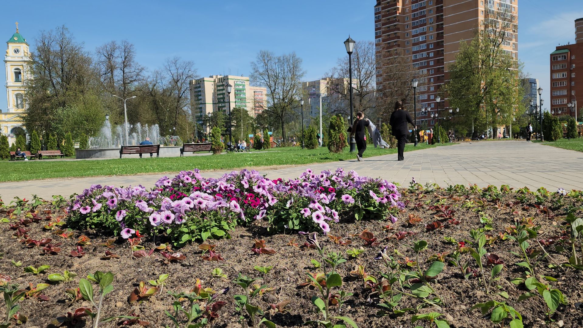благоустройство, цветы, клумбы, Лосино-Петровский,