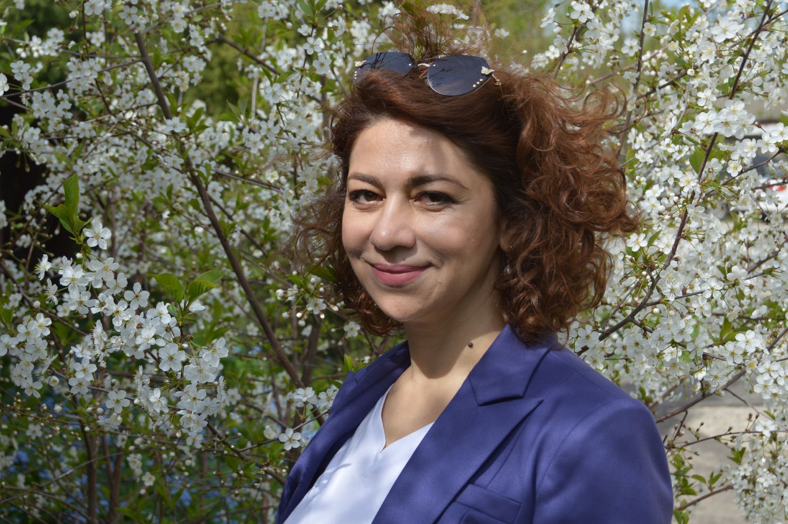 шатура, цветет черемуха, цветет вишня, первоцветы, весна, весна в городе,