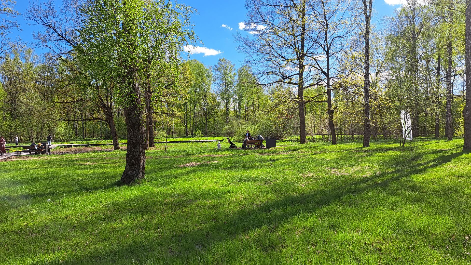 фрязино, Фрязинский лесопарк, Парк,