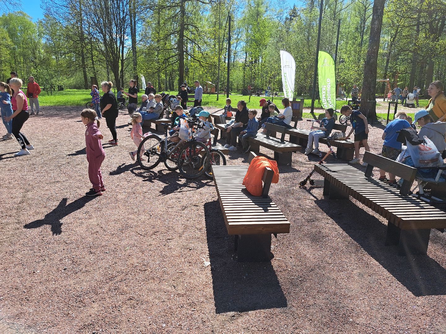 фрязино, Фрязинский лесопарк, Парк,