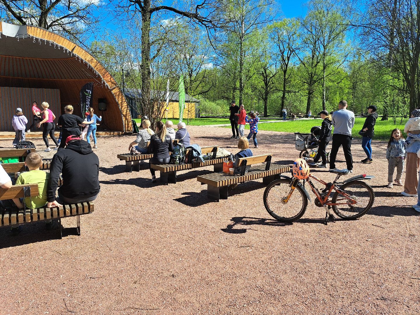 фрязино, Фрязинский лесопарк, Парк,