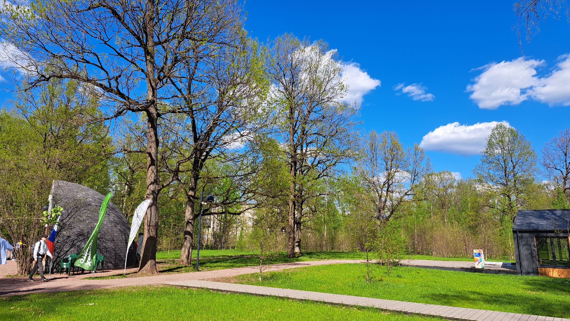фрязино, Фрязинский лесопарк, Парк,