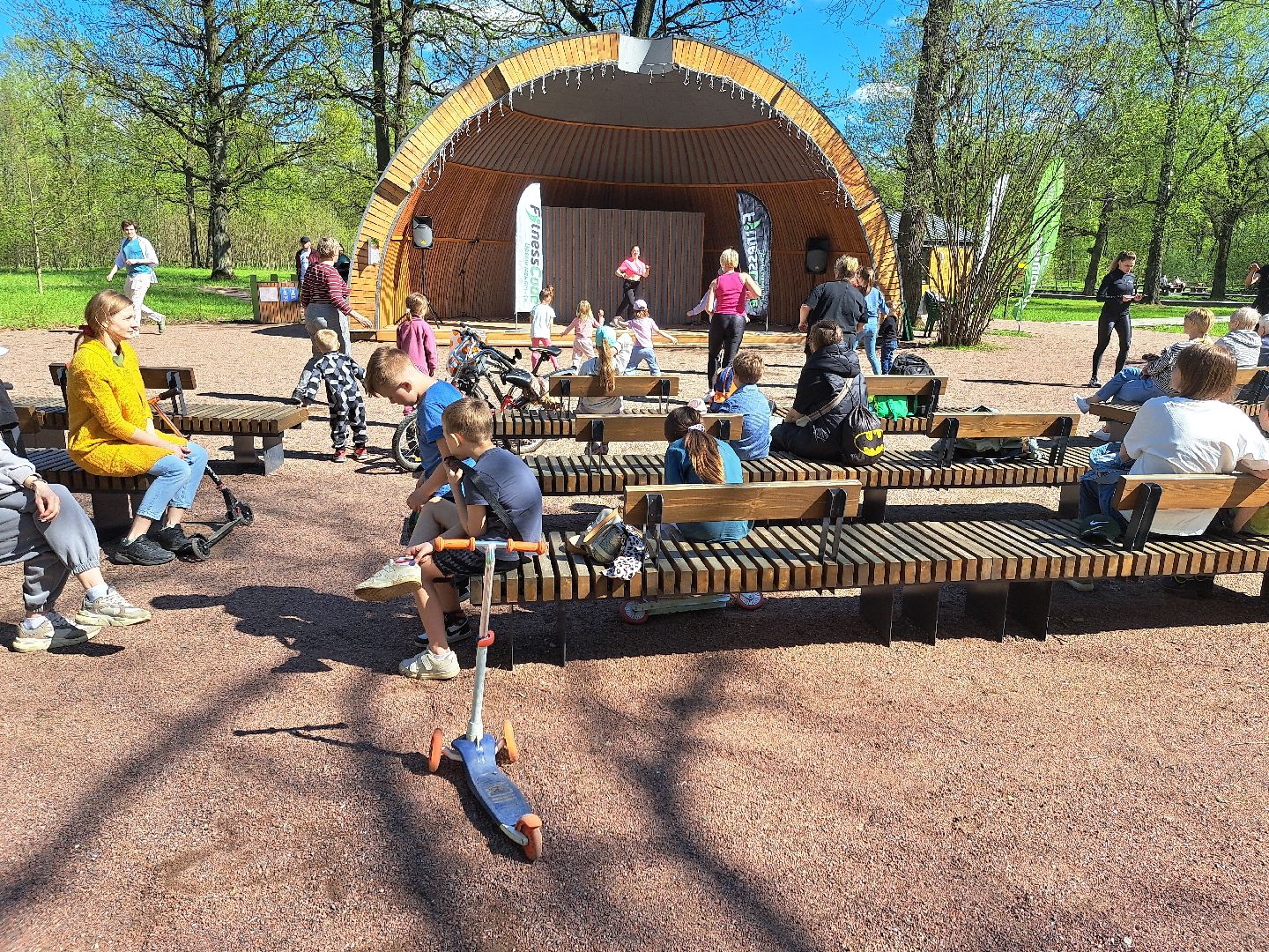 фрязино, Фрязинский лесопарк, Парк,