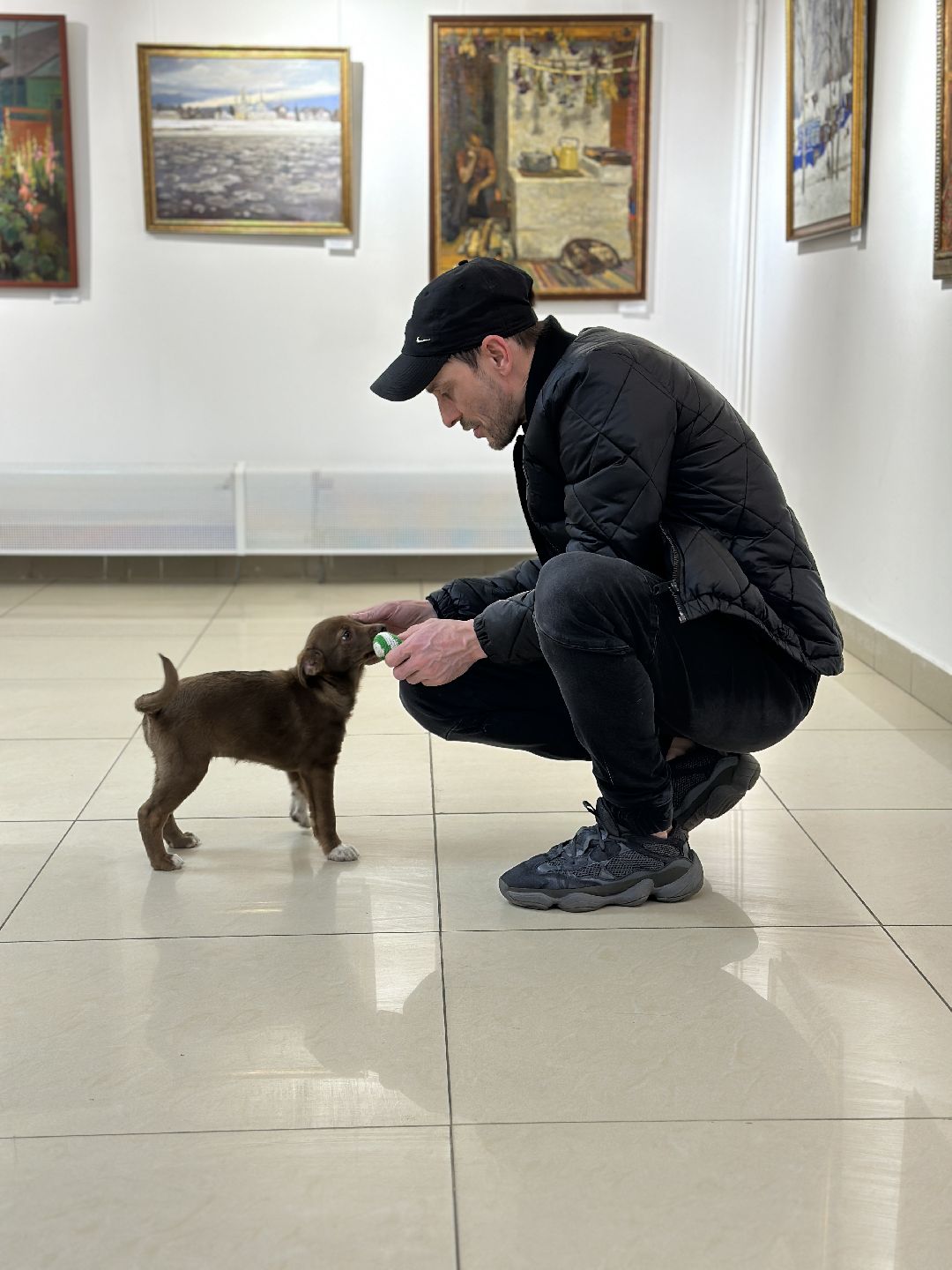 Реутов, СВО, волонтёры, Куба, щенок, посылка, гуманитарная помощь