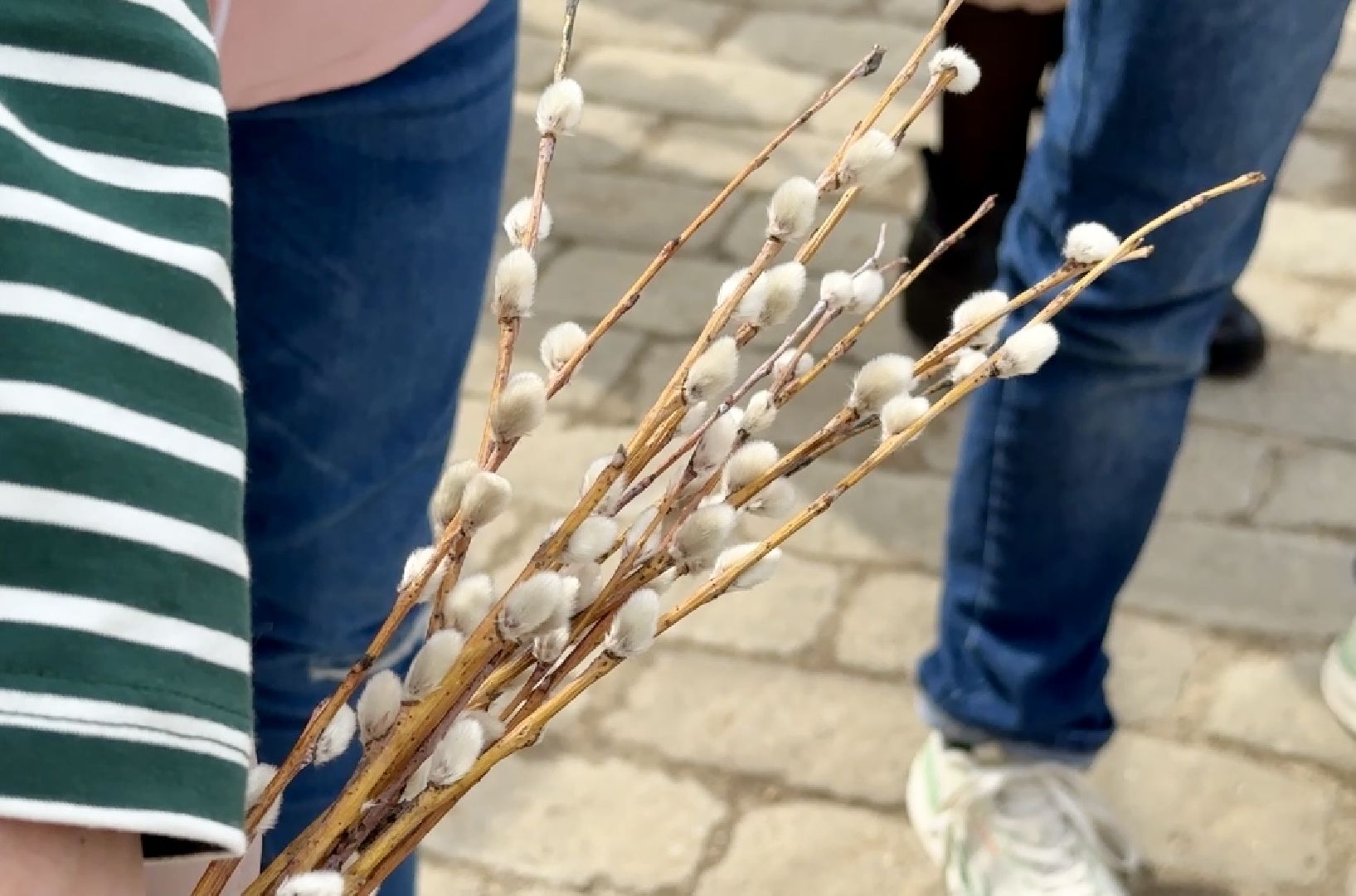 Клин, общество, культура, туризм, подмосковье, колокола, фестивали,