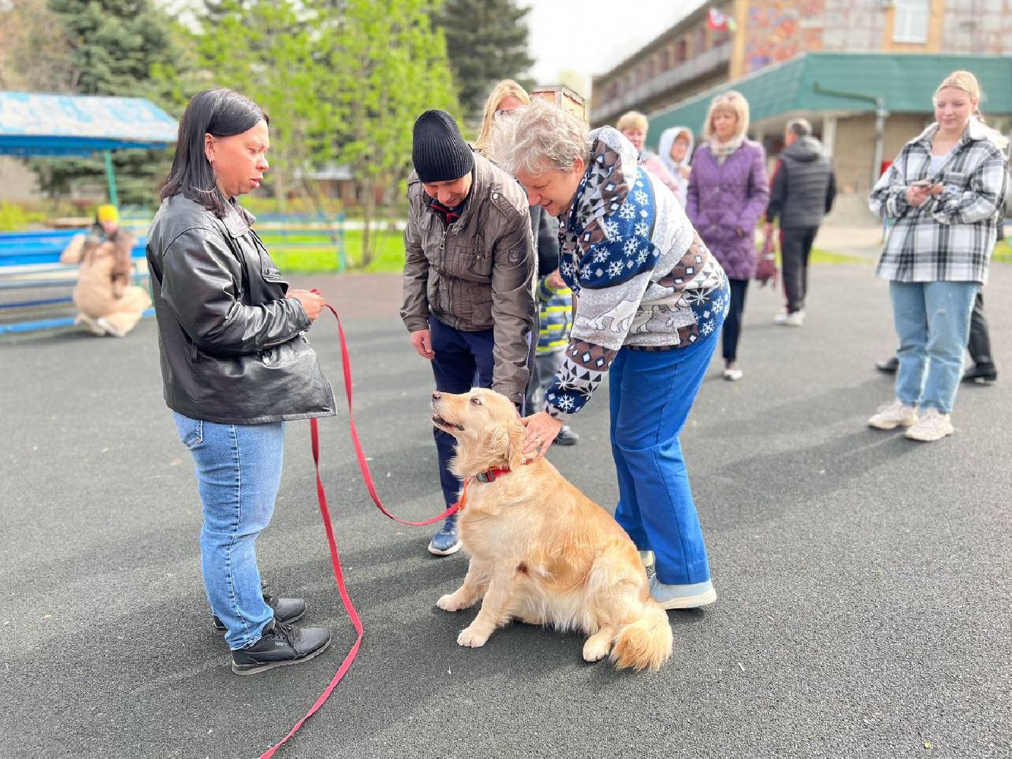 пушкино, ивантеевка, канистерапия, животные, дети инвалиды, центр социального обслуживания,