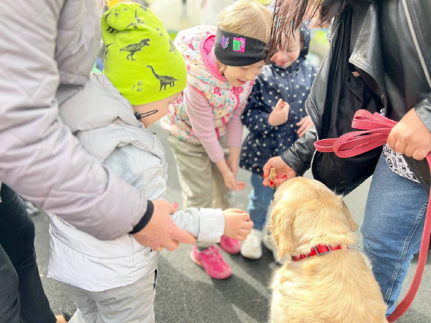 пушкино, ивантеевка, канистерапия, животные, дети инвалиды, центр социального обслуживания,
