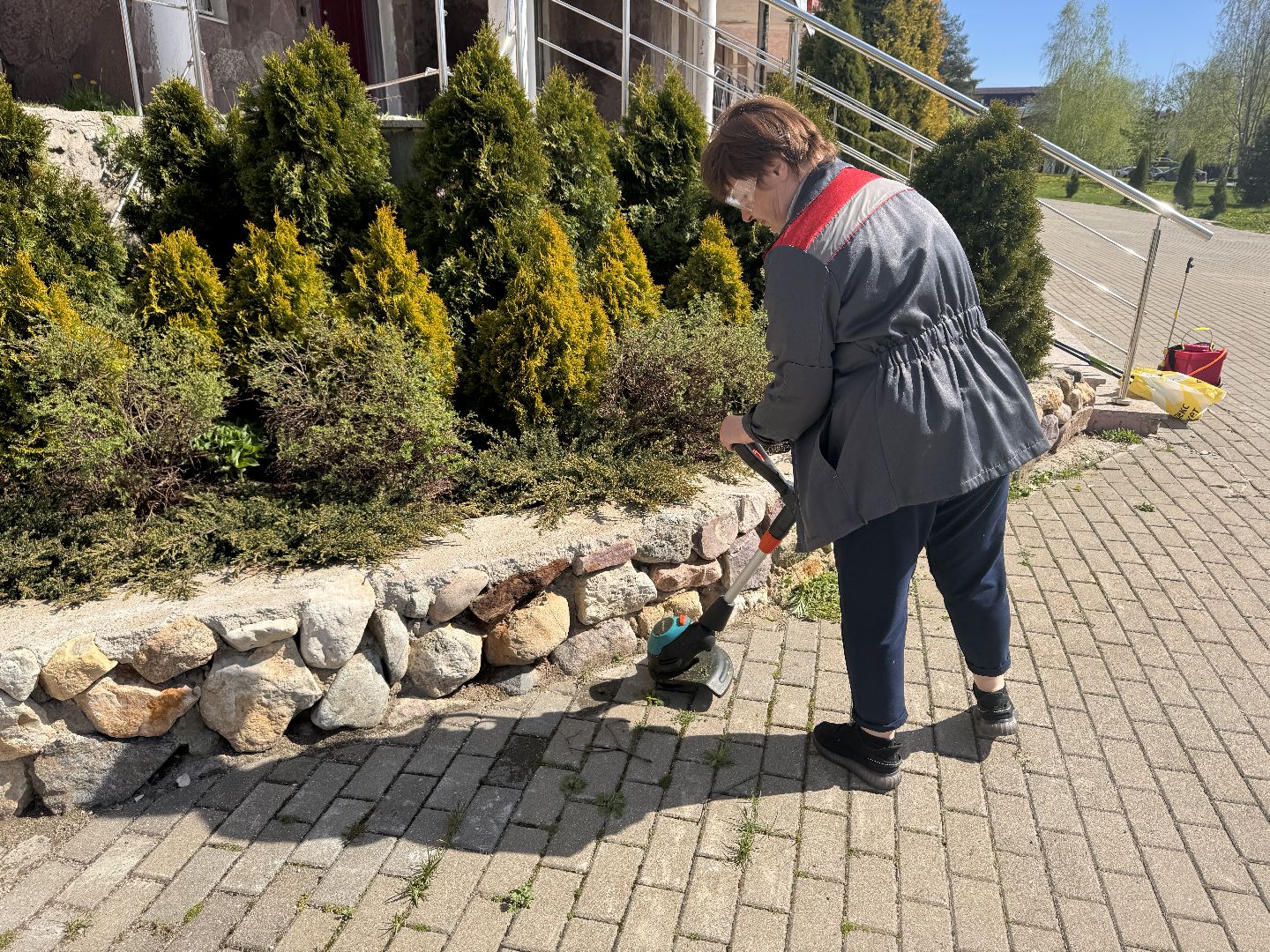 шаховская, озеленение, хвойные растения, благоустройсво,