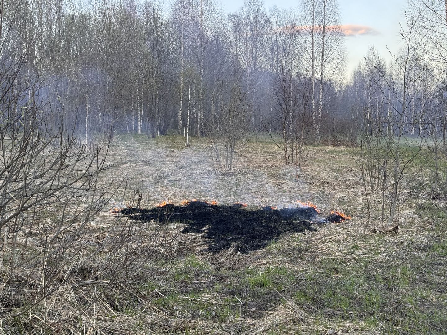 шаховская, мчс россии, пал травы,