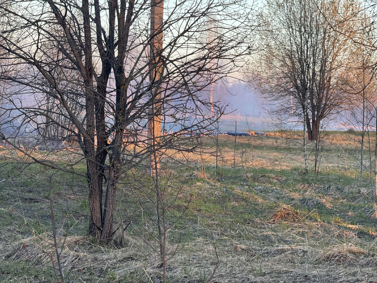 шаховская, мчс россии, пал травы,