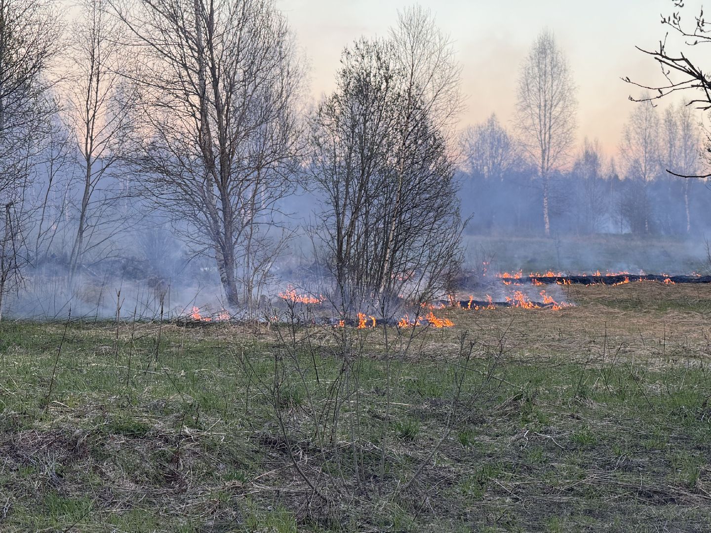 шаховская, мчс россии, пал травы,