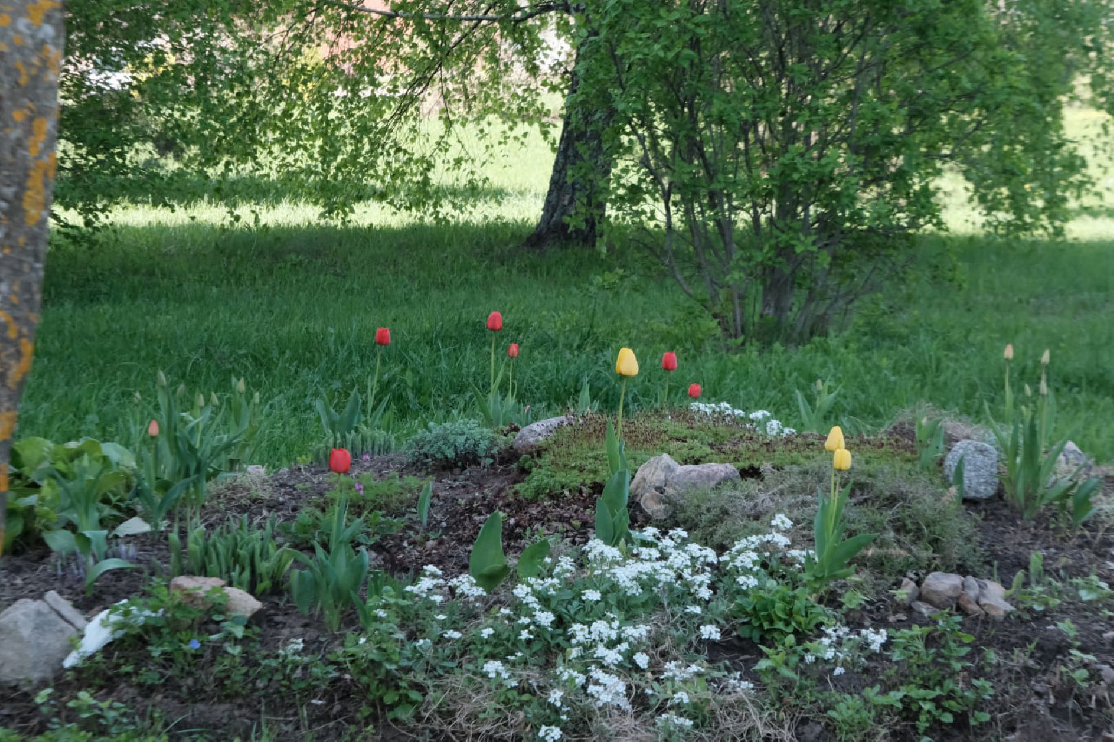 пущино, серпухов, благоустройство, цветы,