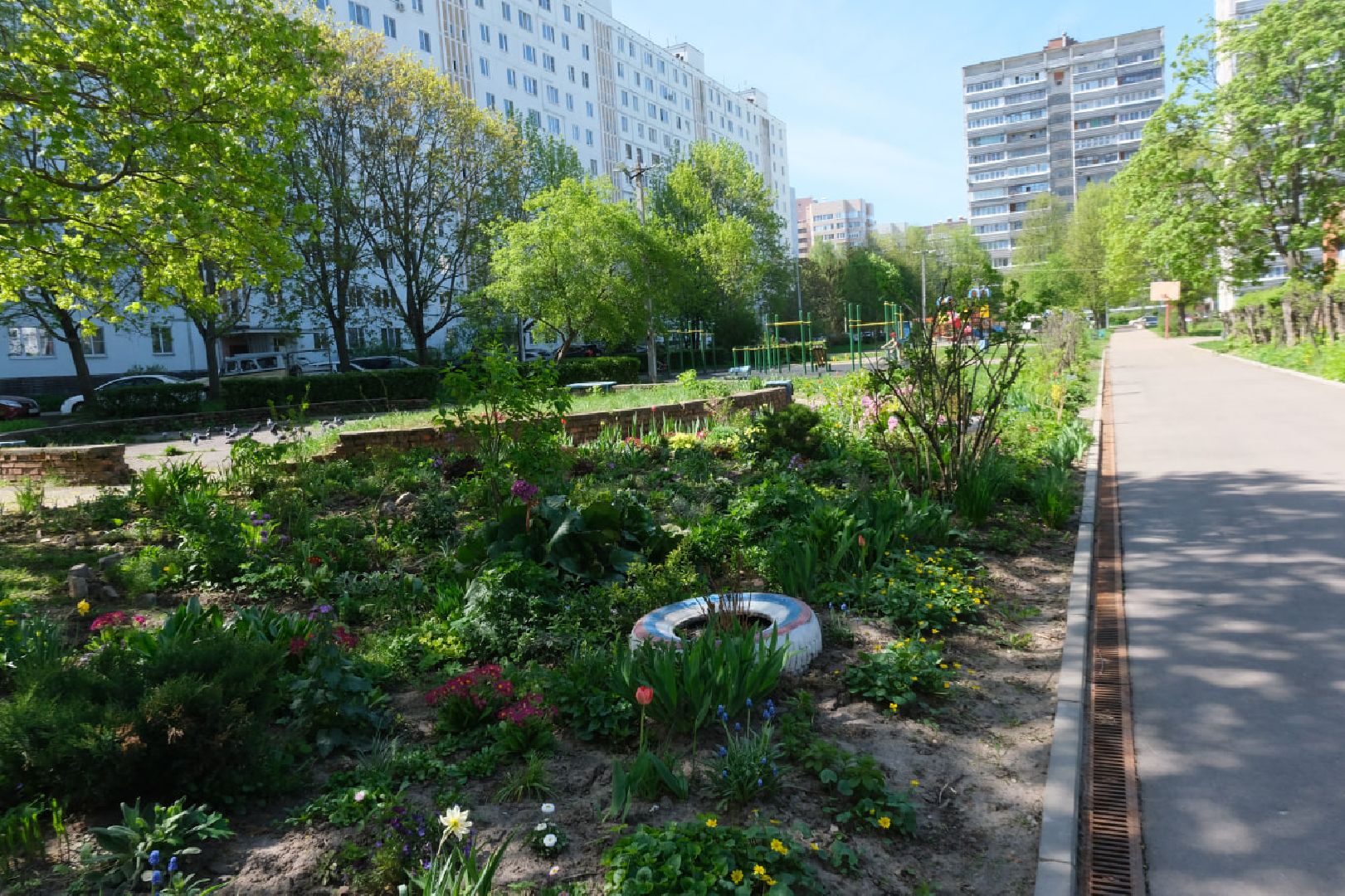 пущино, серпухов, благоустройство, цветы,