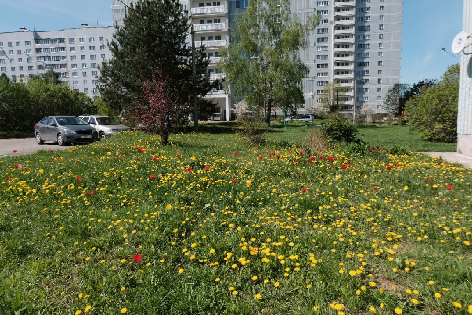 пущино, серпухов, благоустройство, цветы,