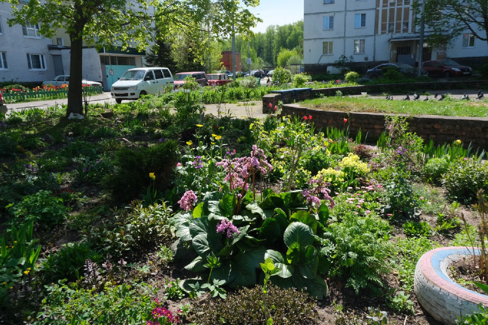 пущино, серпухов, благоустройство, цветы,