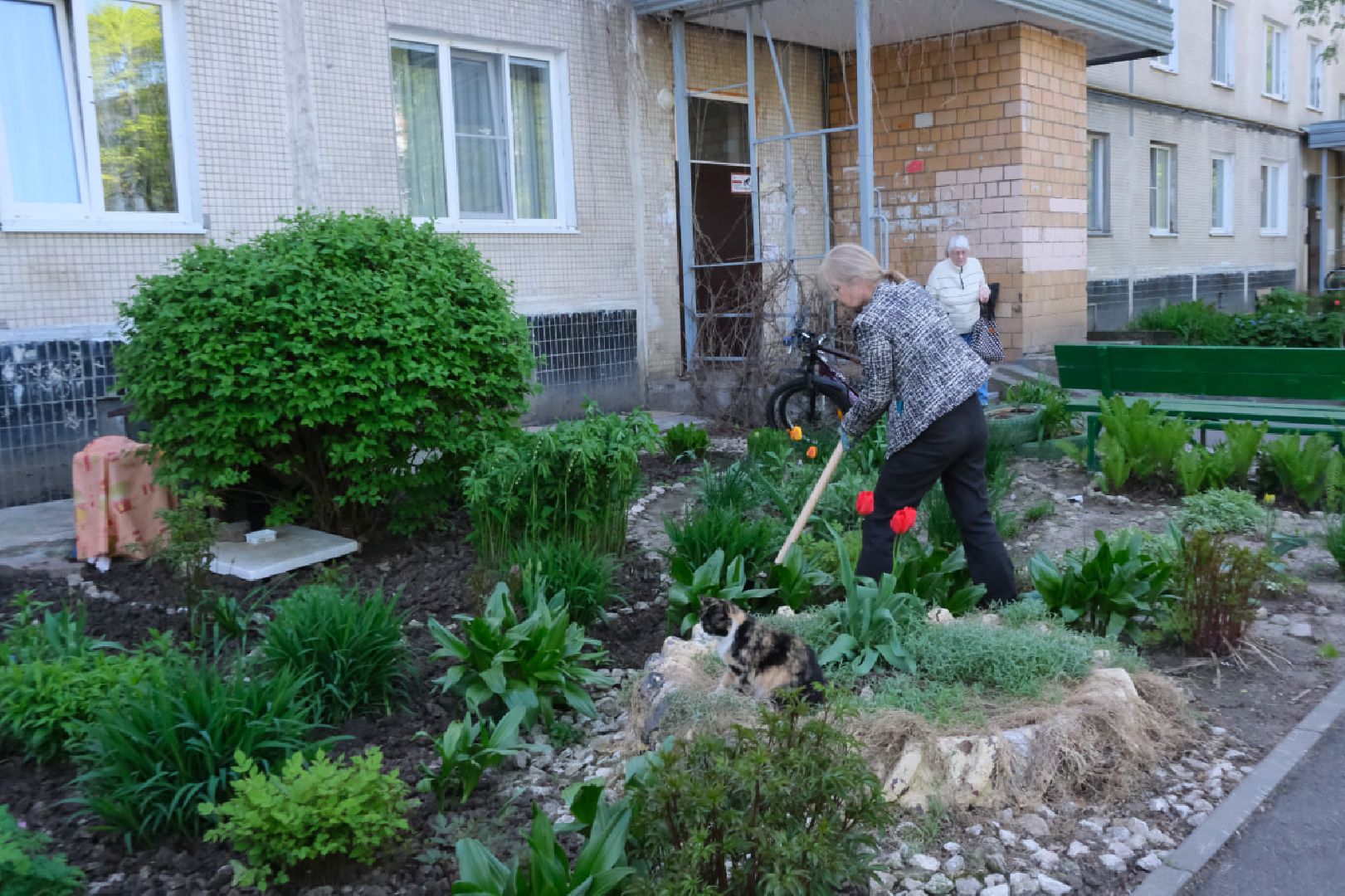 пущино, серпухов, благоустройство, цветы,